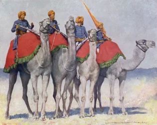 Kamelreiter aus Alwar